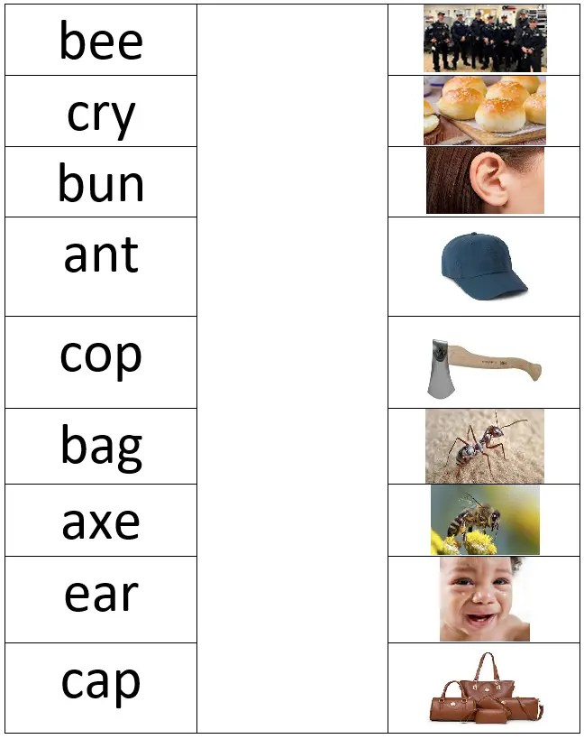 3 Letter Words Worksheet