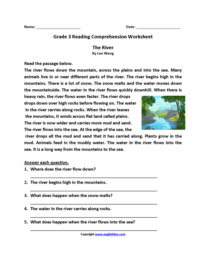 3Rd Grade Reading Comprehension Test