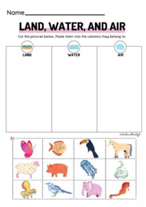 Air And Water Worksheet For Grade 1