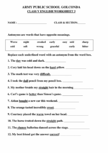 APSG Class 5 English Worksheet 3