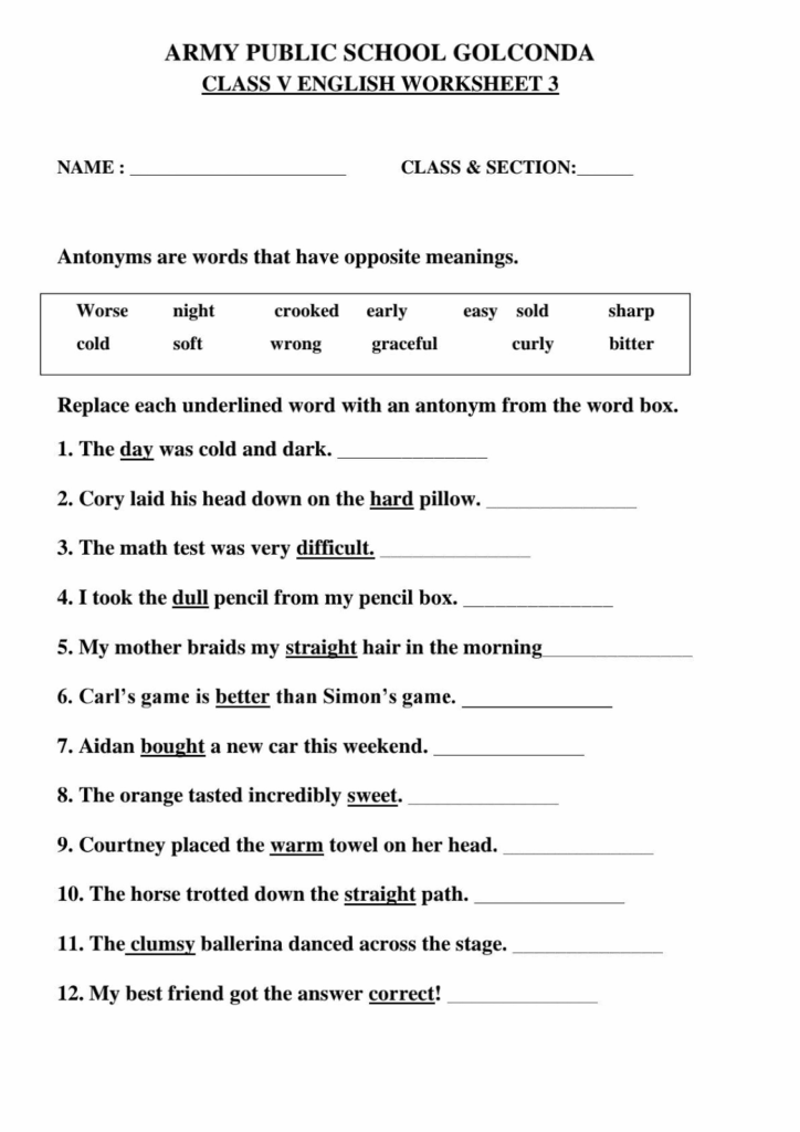 APSG Class 5 English Worksheet 3