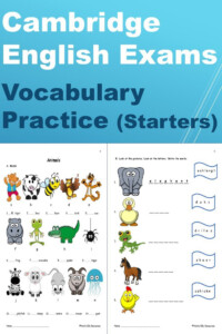 Cambridge English Exams Vocabulary Practice Worksheet Pack