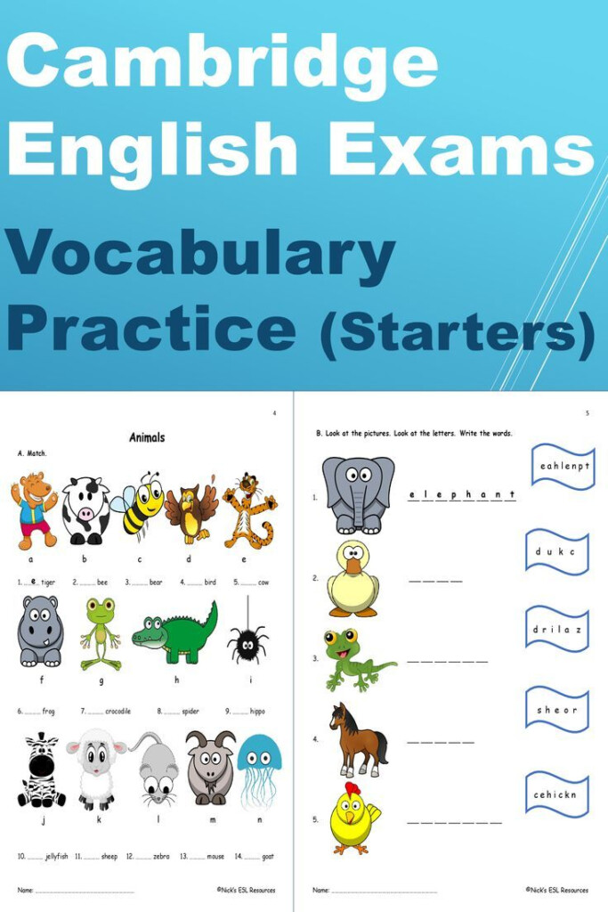 Cambridge English Exams Vocabulary Practice Worksheet Pack