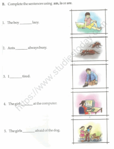 CBSE Class 1 English Grammar Worksheet Practice Worksheet For English