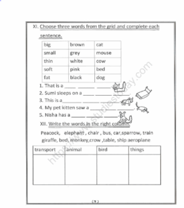 CBSE Class 1 English Revision Worksheet Set 3