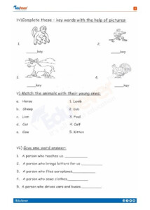 CBSE Class 1 English Worksheet