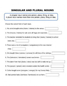 CBSE Class 3 English Singular Plural Assignment Worksheets Library