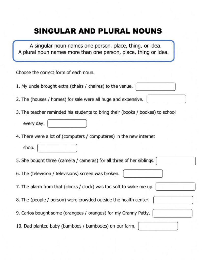 CBSE Class 3 English Singular Plural Assignment Worksheets Library