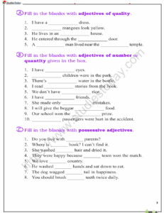 CBSE Class 6 English Adjectives Worksheet