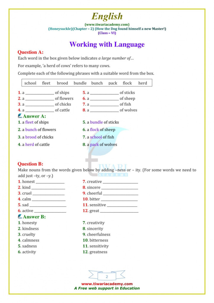 Cbse Class 6 English Grammar Worksheets