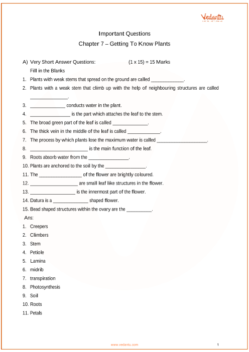 Cbse Class 6 English Grammar Worksheets