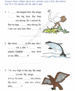 Cbse English Worksheets For Class 2 English Grammar Worksheet For