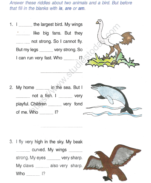 Cbse English Worksheets For Class 2 English Grammar Worksheet For