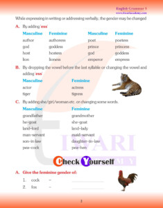 Class 5 English Grammar Chapter 4 The Noun Gender