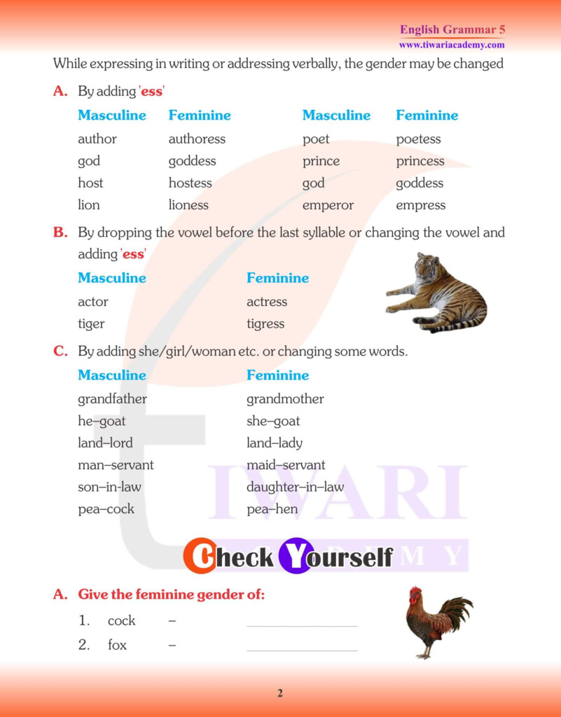 Class 5 English Grammar Chapter 4 The Noun Gender