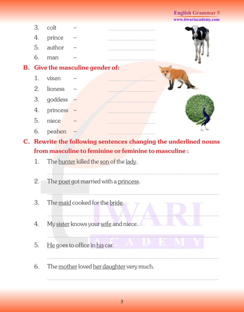 Class 5 English Grammar Chapter 4 The Noun Gender