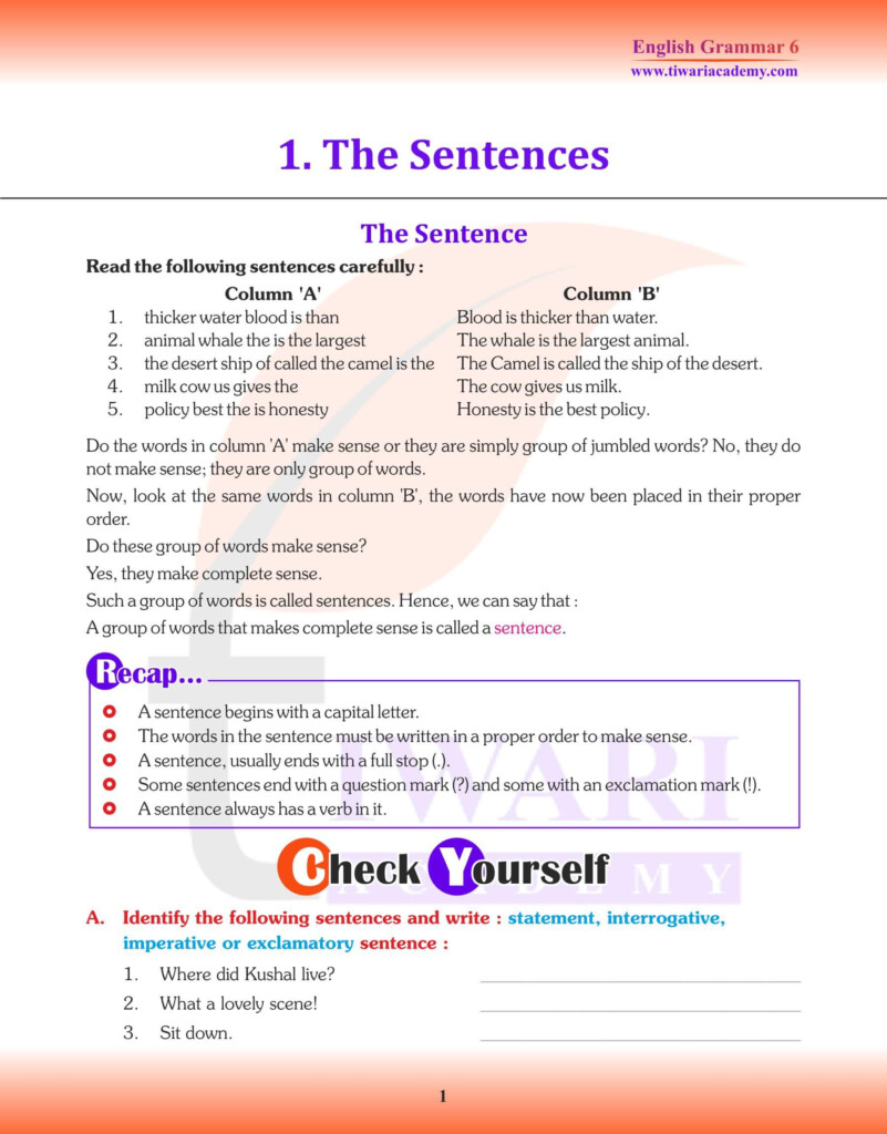 Class 6 English Grammar Chapter 1 The Sentence