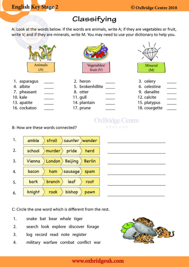 Classification Ks2 English Vocabulary Ks2