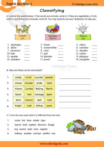 Classification Ks2 English Vocabulary Ks2