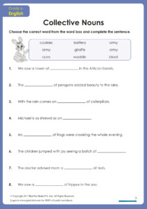 Collective Nouns Worksheets FREE PDF Grade1to6