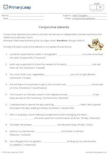 Conjunctive Adverbs Worksheets