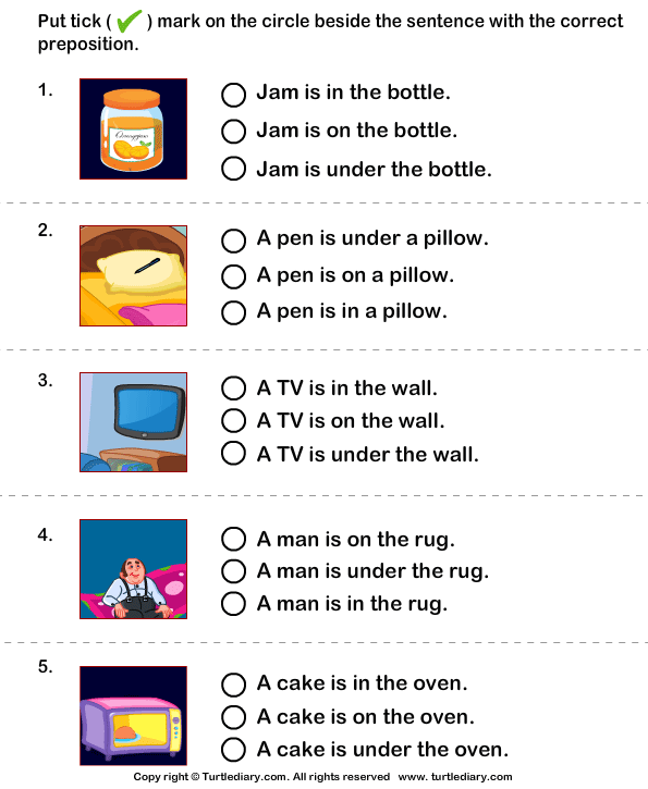 Download And Print Turtle Diary 39 s Describe Pictures With Sentences 