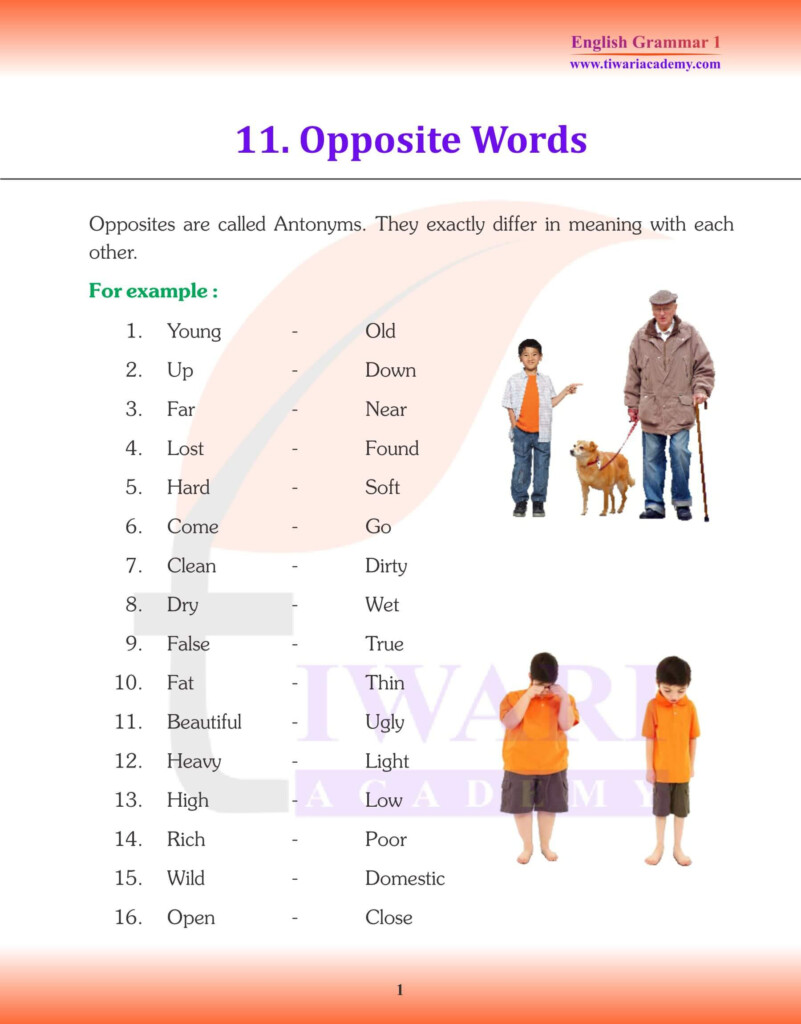 English Class 1 Opposite Antonyms Words Worksheet 43 OFF
