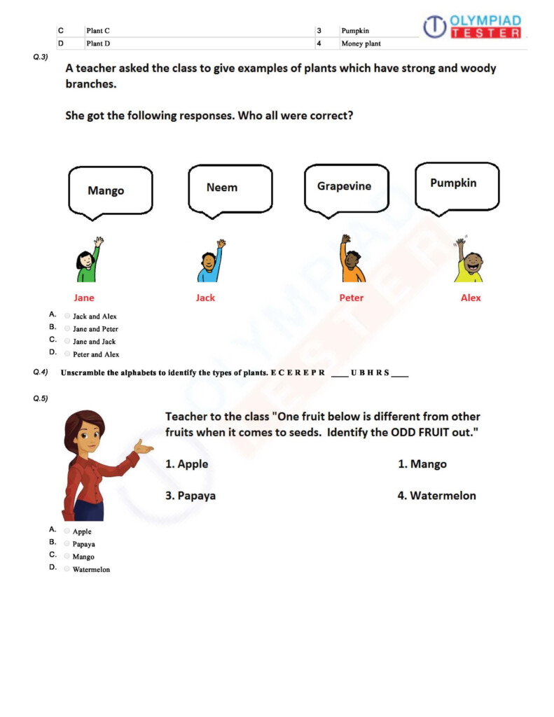English Olympiad Sample Papers For Class 3 Level 2 Papers example