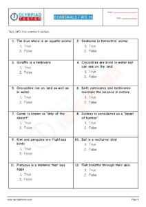 English Olympiad Worksheets For Class 1 Pdf Thekidsworksheet