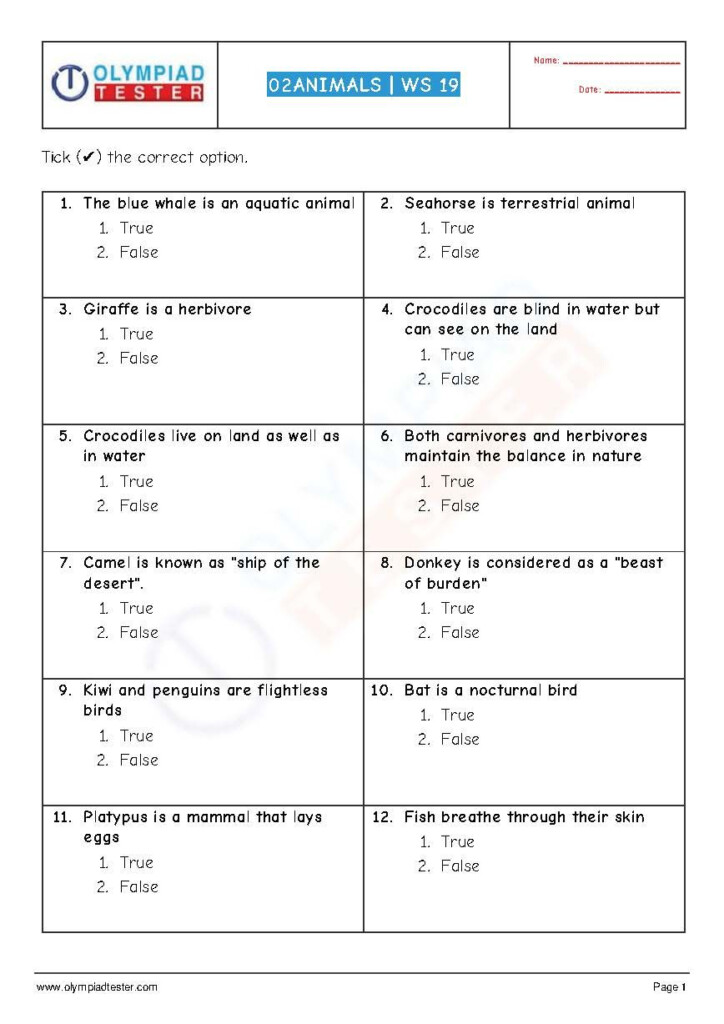 English Olympiad Worksheets For Class 1 Pdf Thekidsworksheet