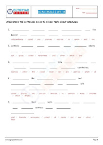 English Olympiad Worksheets For Class 1 Pdf Thekidsworksheet