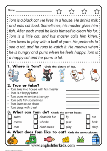 English Reading Comprehension Practice