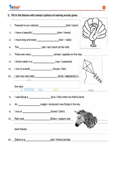 English Worksheets For Grade 1 Cbse