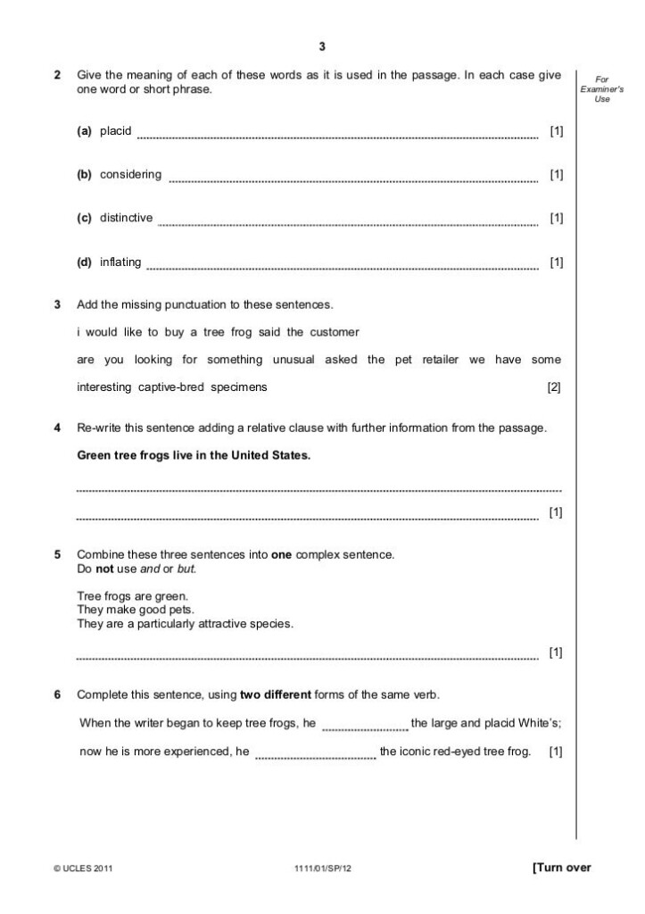 English Worksheets For Grade 6 Igcse Dorothy Holtz 39 s English Worksheets