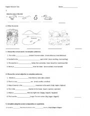 English World 4 Test ESL Worksheet By SofijaM