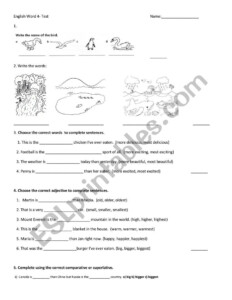English World 4 Test ESL Worksheet By SofijaM