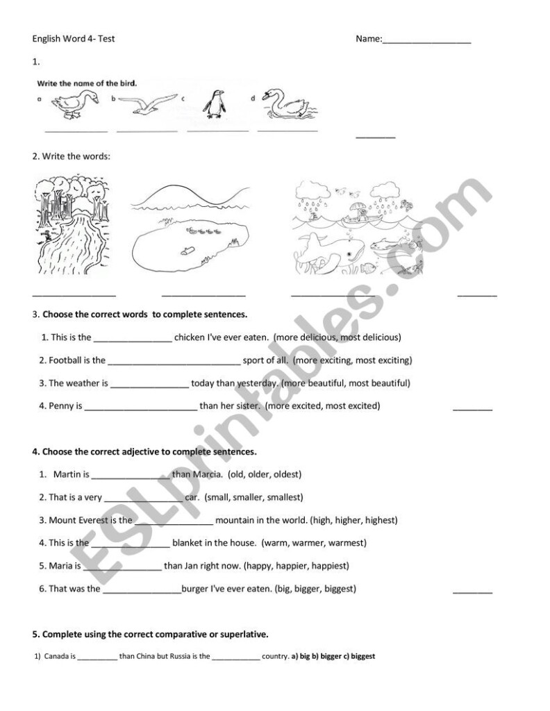 English World 4 Test ESL Worksheet By SofijaM