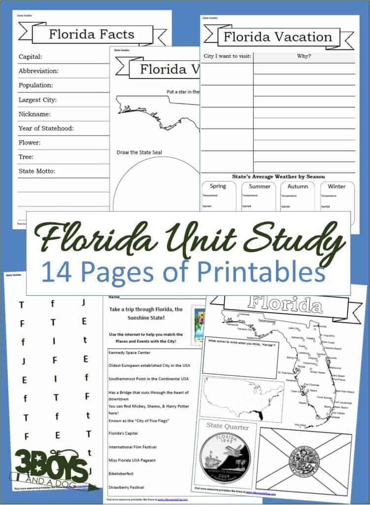 Florida State Fact File Worksheets