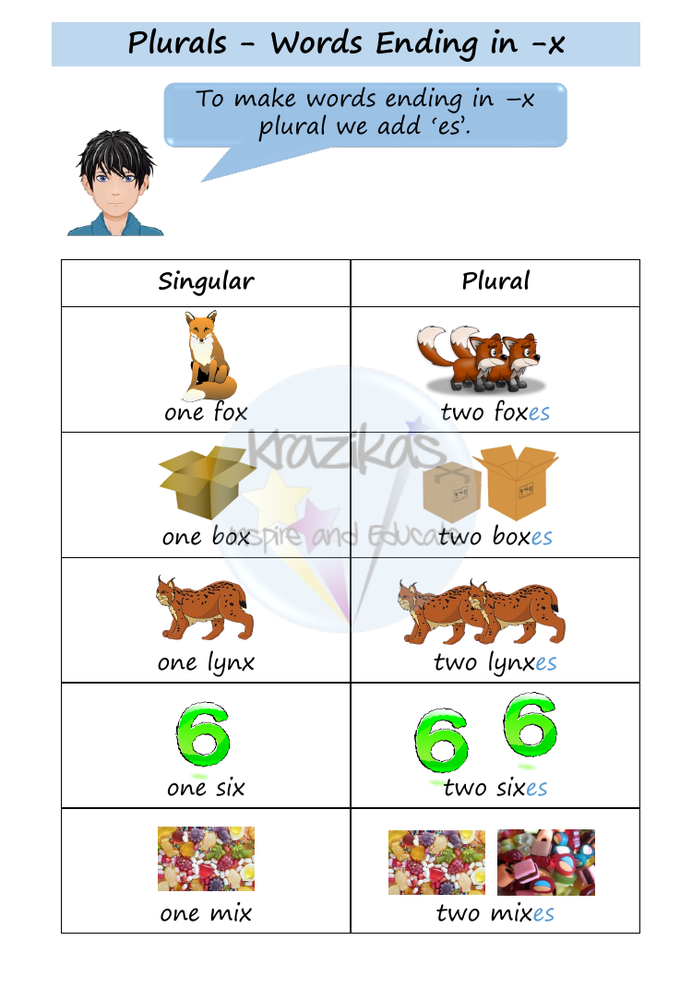 Functional Skills English Entry Level 2 Writing Plurals Inspire 
