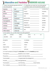 Gender Worksheet For Grade 5