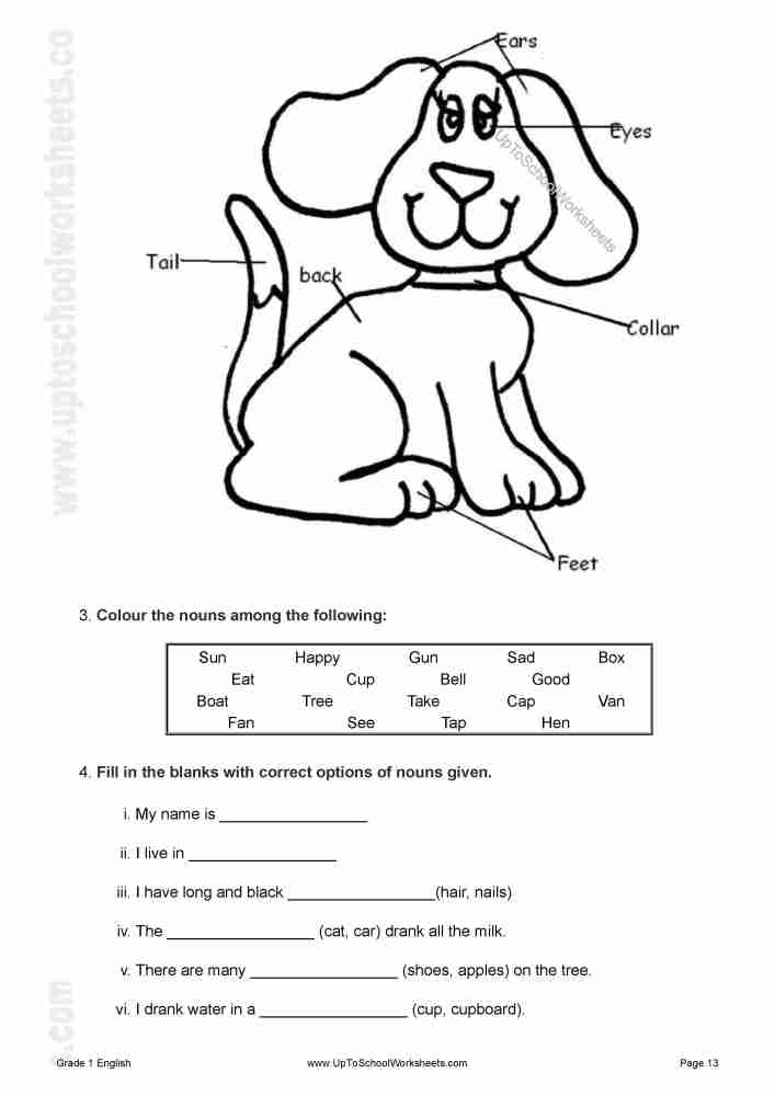 Grade 1 English Grammar Language Worksheets CBSE ICSE With Answer 
