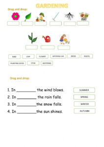Grade 3 English ESL Worksheets Pdf Doc Worksheets Library
