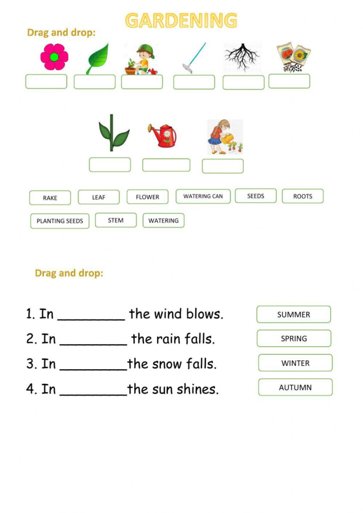 Grade 3 English ESL Worksheets Pdf Doc Worksheets Library
