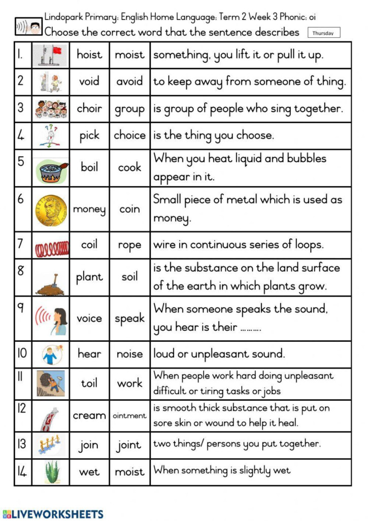 Grade 3 English HL Term 3 Week 13 Phonic Oi Worksheet 4 Worksheet