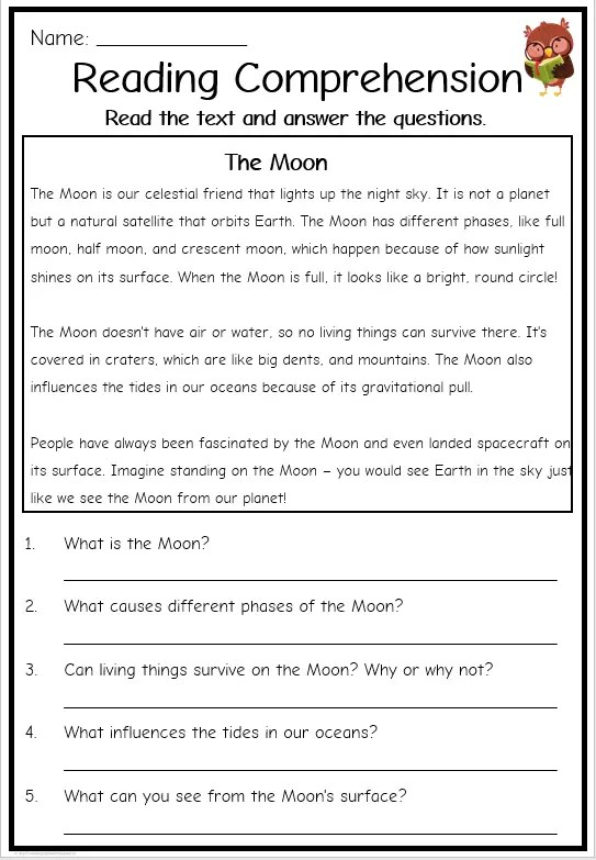 Grade 3 Reading Comprehension Non Fiction Free English Worksheets 