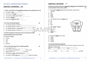Grade 4 English FAL Exam Revision And Memo 25 Pages Of Language For