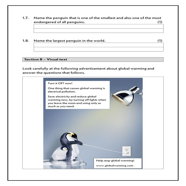 Grade 5 English First Additional Language Test Term 1 Teacha 