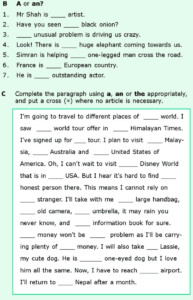 Grade 6 Grammar Lesson 6 Articles And Nouns Grammar Worksheets