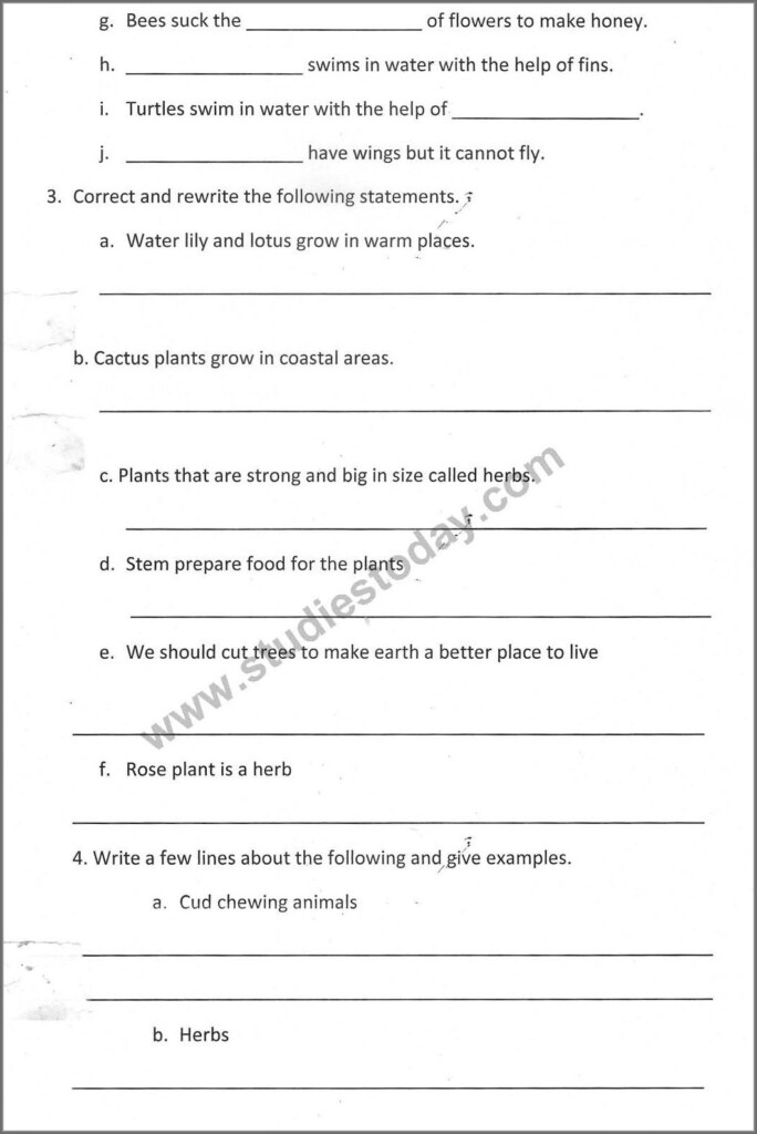 Grammar Worksheets For Grade 5 Cbse