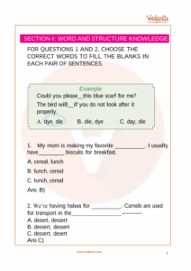 IEO English Sample Paper 1 For Class 3 With Solutions